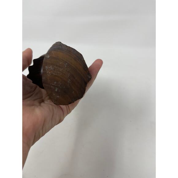 Hand Carved Owl Wood Carving 5” Ironwood / Walnut Figurine Statue - Picture 6 of 8